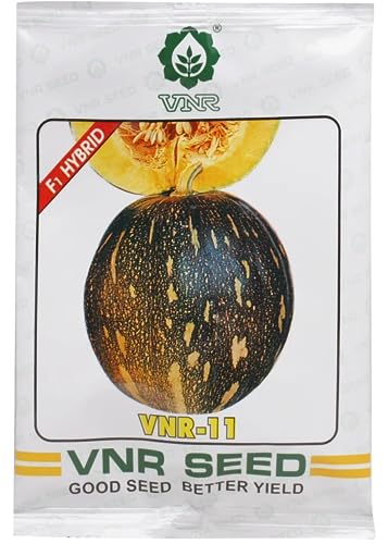 वीएनआर हाईब्रिड कद्दू के बीज 11नं.
