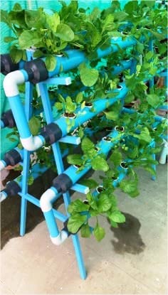 एग्रो एक्सपर्ट्स 28 प्लांटर हाइड्रोपोनिक एनएफटी किट - अब आयरन फ्रेम में (500 रुपये मूल्य का फ्री लीफी मैजिक और हाइड्रोपोनिक्स पर फ्री कोर्स)