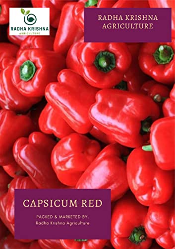 Radha Krishna Agriculture® Imported Capsicum Vegetable Seeds | Red Capsicum Seed For Your Home Garden Pack of 50 Gram Seeds