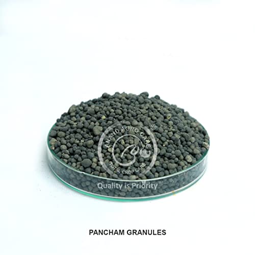 Pancham Granules (Zyme Granules) पौधों की वृद्धि और उपज बढ़ाने के लिए अद्वितीय सूत्रीकरण