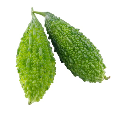 FARMGOKART 5 Gms - BITTER GOURD SMALL (karela) HYBRID F1 बियाणे घरगुती बागकाम, शेती, हायड्रोपोनिक्स आणि पॉली हाऊससाठी भाजीपाला बियाणे