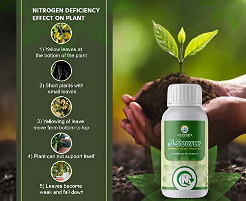 Plants & Roots N-Source Bio-Fertilizer (Atmospheric Nitrogen Fixing Bacteria - Azotobacter Chrococcum) Pack of 1 LTR Bottle