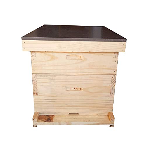 DTC Langstroth Beehive Box for Beekeeping