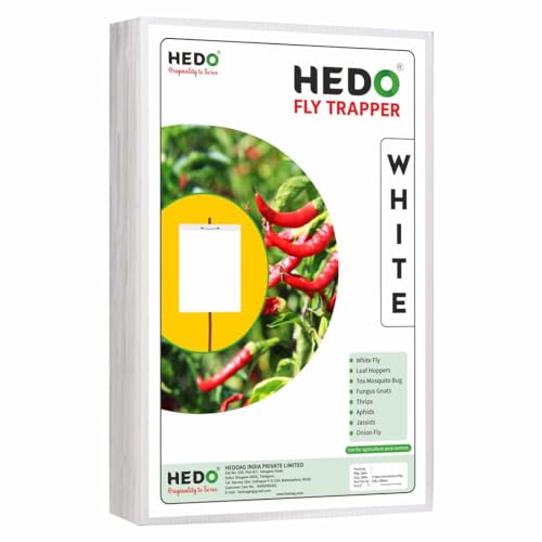 HEDO फ्लाई ट्रैपर A4 सफ़ेद स्टिकी शीट, खेती और आउटडोर के लिए कीट पकड़ने वाली शीट ब्लैक थ्रिप्स, व्हाइटफ़्लाइज़ और एफिड्स को नियंत्रित करने के लिए 4 का पैक (100 पीस)