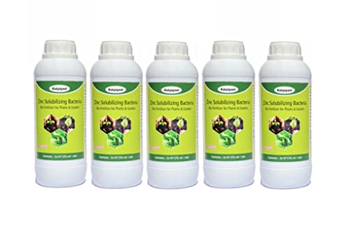 Katyayani Zinc Solubilizing Bacteria Bio Fertilizer Zinc Provider for All Plants and Home Garden Eco Friendly Liquid Zinc Fixing Bacteria Recommended by Npop for Organic Farming ( 5 X 10*8 Cfu Ml/min ) - 5 Litre Pack