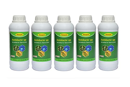 Katyayani Azotobacter Bio Fertilizer for Plants and Home Garden Nitrogen Provider in Fruits Vegetables Spices Fibre Aromatic Medicinal Ornamental Crops Eco-Friendly Liquid Nitrogen-Fixing Bacteria Recommended by Npop for Organic Farming ( 5 X 10*8 Cfu Ml/