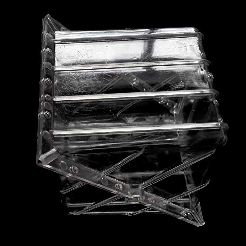 तरबूज उगाने का साँचा - दिल और चौकोर तरबूज उगाने का साँचा सपोडिला गार्डन फल साँचा उपकरण - पुन: प्रयोज्य तरबूज उगाने का साँचा दिल चौकोर पारदर्शी आकार देने वाला