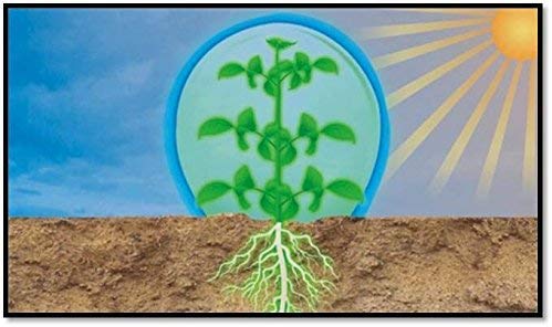BIOZYME CROP+ Liquid Biostimulant (1000ml)