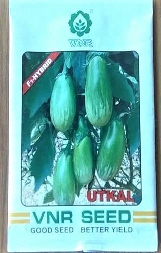 vnr utkal brinjal f1 hybrid