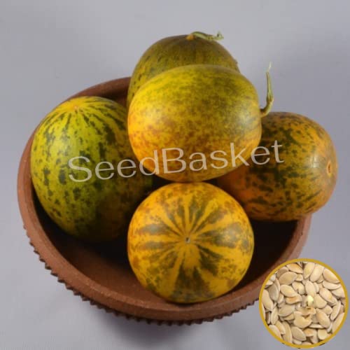 Native/Non-GMO Cucumber Seeds for Gardening (50+ Seeds with More than 70% Germination) And Instruction Manual (Keera Cucumber)