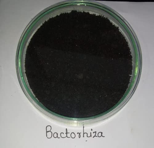 Dr. Bacto's Bactorhiza (Plant Growth Promoter)
