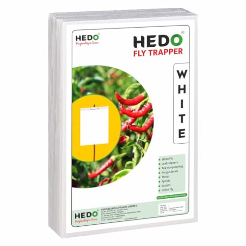 HEDO फ्लाई ट्रैपर A4 सफ़ेद स्टिकी शीट, खेती और आउटडोर के लिए कीट पकड़ने वाली शीट ब्लैक थ्रिप्स, व्हाइटफ़्लाइज़ और एफिड्स को नियंत्रित करने के लिए 1 का पैक (25 पीस)