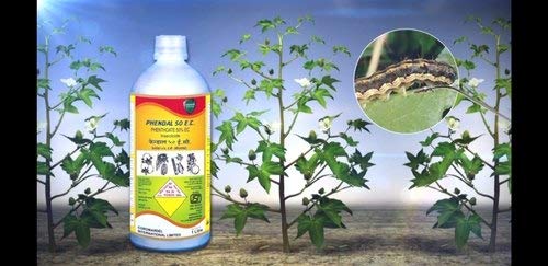 करोमण्डल फेंडाल 50 EC, फेनथोएट कीटनाशक (250ml), 1 का पैक