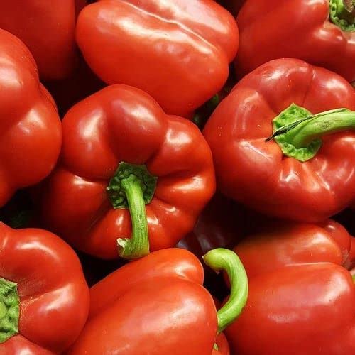 Radha Krishna Agriculture® Imported Capsicum Vegetable Seeds | Red Capsicum Seed For Your Home Garden Pack of 50 Gram Seeds