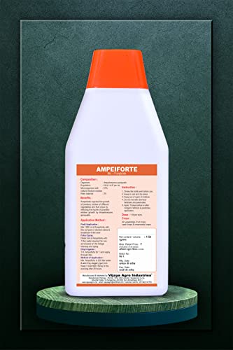 विजया एग्रो एंपेलोमाइसेस क्विस्क्वालिस