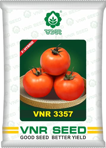 VNR 3357 Hybrid F1 quality round Tomato seeds 10gm - Tamatar