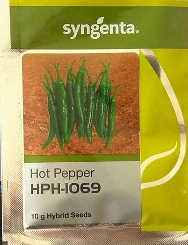 Syngenta HPH-1069 Hybrid Chilli Seeds 1500SD - Hot Pepper