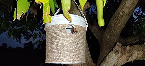 White Grub Lure – Nature's Trap for a Bountiful Harvest