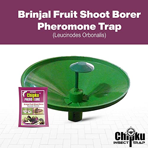 Chipku- Pheromone Water Trap with Lure Lucinodes orbonalis Pack of (10)