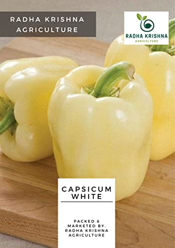 Radha Krishna Agriculture® Imported Capsicum Vegetable Seeds | White Capsicum Seed For Your Home Garden Pack of 30 Gram Seeds