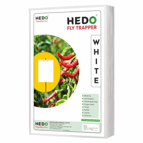HEDO फ्लाई ट्रैपर सफ़ेद चिपचिपा शीट, खेती और आउटडोर के लिए कीट पकड़ने वाली शीट ब्लैक थ्रिप्स, व्हाइटफ़्लाइज़ और एफिड्स को नियंत्रित करने के लिए 2 का पैक (50 पीस)
