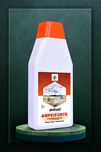 VIJAYA AGRO Ampelomyces Quisqualis