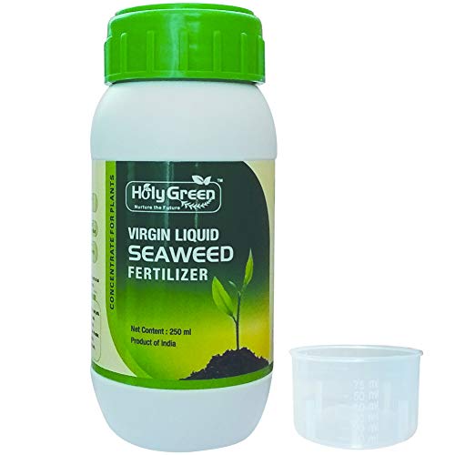 Holy Green - Nurture the Future Liquid Virgin Seaweed Fertilizer Concentrate (250 ml) with Measuring Cup (75 ml) for Both Indoor and Outdoor Plants, 250 ml