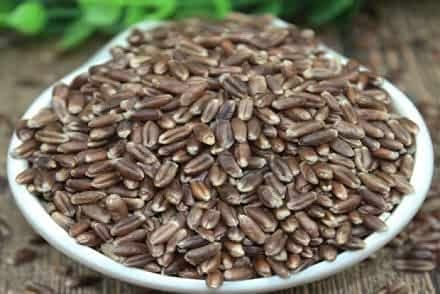 बंदहल- खाने और पकाने के लिए जैविक काला गेहूं 900 ग्राम। प्रीमियम काला गेहूं शरबती गेहूं I एंटी ऑक्सीडेंट I साबुत अनाज I काला गेहु
