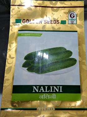 एडवांटा गोल्डन सीड्स नलिनी हाइब्रिड एफ1 खीरा बीज 10 ग्राम - खीरा