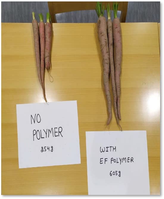 hydrogel for carrot farming
