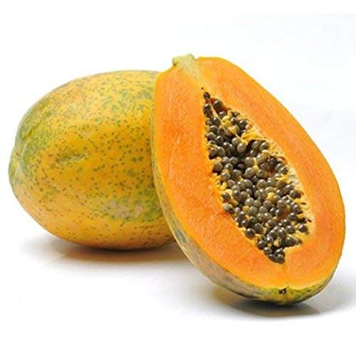 Papaya Fruit Seeds Melon Garden Fruit Seeds 50 seeds