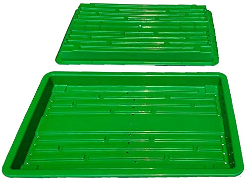 Plastic Tray 20 nos