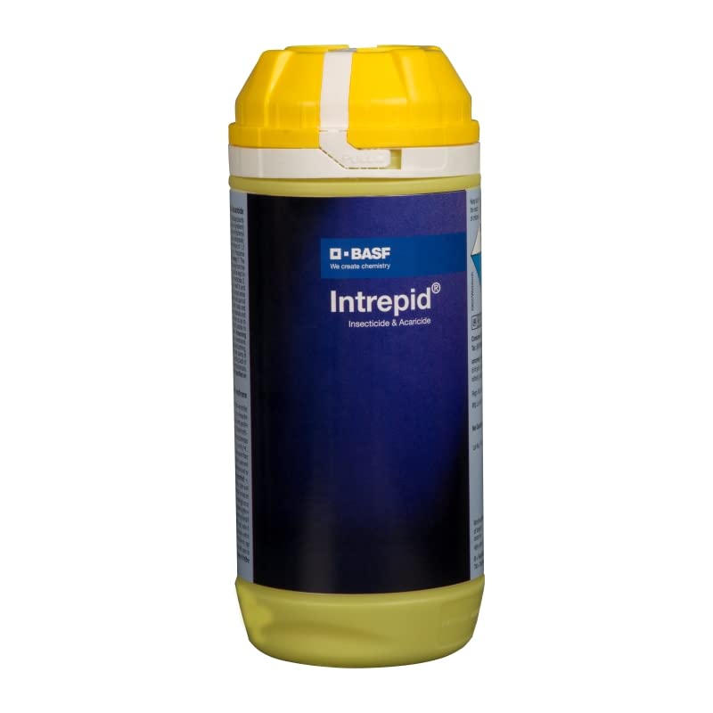 Ba-sf Intrepid 300ml.