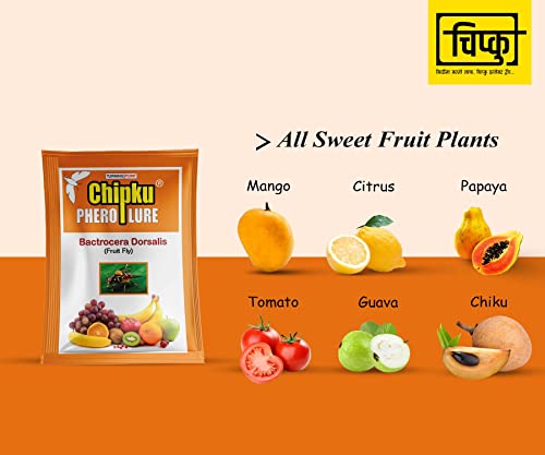 Chipku- मैक्स प्लस फेरोमोन फ्रूट फ्लाई ट्रैप मैक फिल ट्रैप फ्रूट फ्लाई फेरोमोन ल्यूर (बैक्टोसेरा डोरसालिस) के साथ फलों की फसलों के लिए 5 का पैक