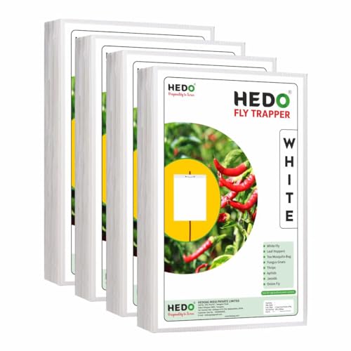 HEDO फ्लाई ट्रैपर A4 सफ़ेद स्टिकी शीट, खेती और आउटडोर के लिए कीट पकड़ने वाली शीट ब्लैक थ्रिप्स, व्हाइटफ़्लाइज़ और एफिड्स को नियंत्रित करने के लिए 4 का पैक (100 पीस)