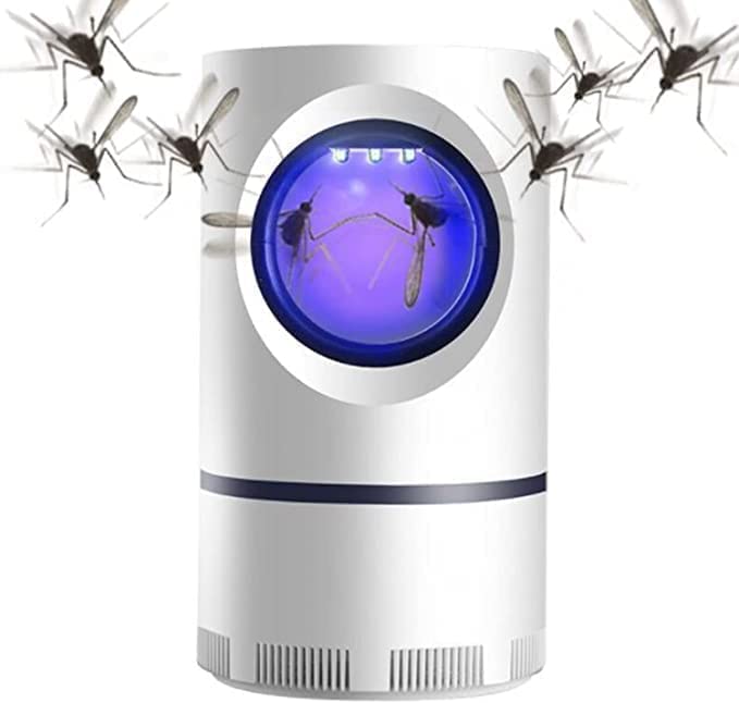 indoor bug catcher