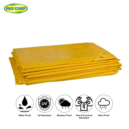 PAD Corp Cross Laminated Tarpaulin 250 GSM Heavy Duty Material, Weather Resistant, Multi Purpose Use (24 x 20 ft)