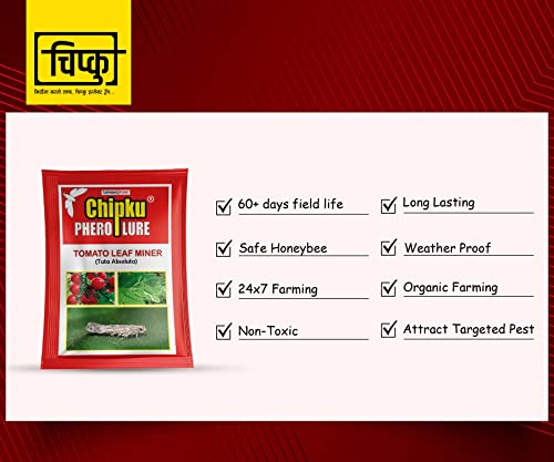 टमाटर लीफ माइनर (टूटा एब्सोल्यूटा) के लिए चिपकू-फेरोमोन ल्यूर 100 का पैक