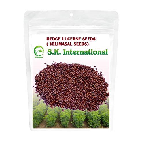 दशरथ गवताचे बियाणे 1 KGS