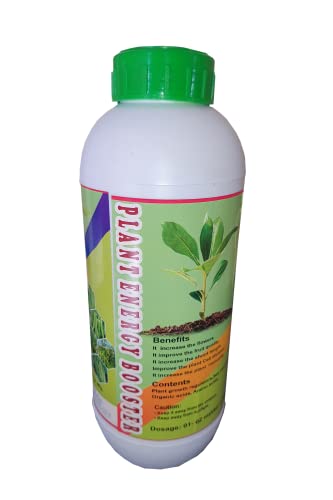 boom flower uses in hindi
