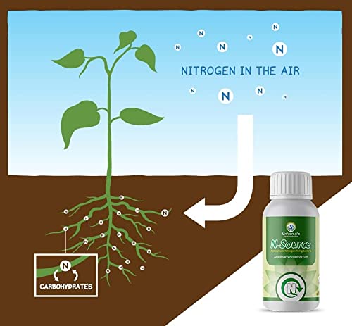 Plants & Roots N-Source Bio-Fertilizer (Atmospheric Nitrogen Fixing Bacteria - Azotobacter Chrococcum) Pack of 1 LTR Bottle