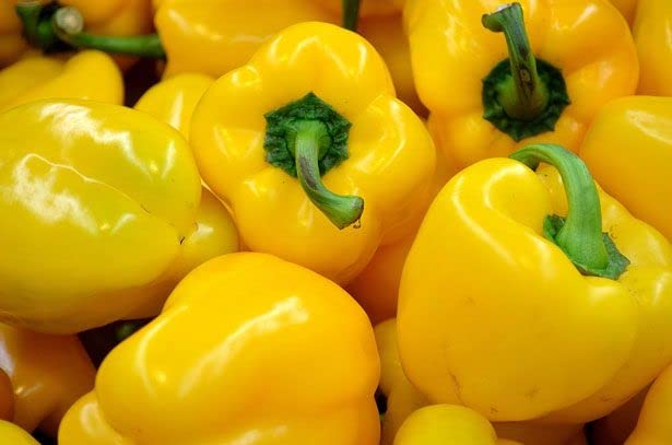 Radha Krishna Agriculture® Imported Capsicum Vegetable Seeds | Yellow Capsicum Seed For Your Home Garden Pack of 30 Gram Seeds