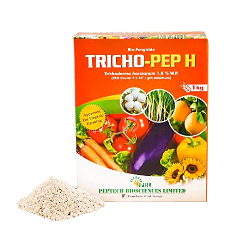 Pbl Tricho Pep H (2 Kg) Trichoderma Harzianum बुरशीनाशक वनस्पतींसाठी | वनस्पती होम गार्डन साठी जैव खत