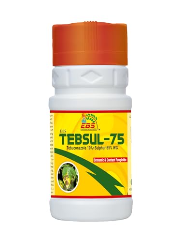 ईबीएस टेबुकोनाजोल 10%+सल्फर 65% डब्ल्यूजी फफूंद जनित रोग पाउडरी फफूंद, मिर्च के फल सड़न रोग और सोयाबीन के फली झुलसा रोग को नियंत्रित करने के लिए प्रभावी फफूंदनाशक। (1.5 किलोग्राम (500 ग्राम x 3))