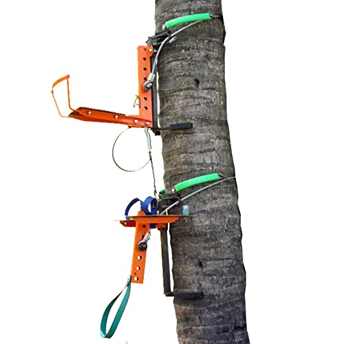 New Advanced Coconut Tree Climber