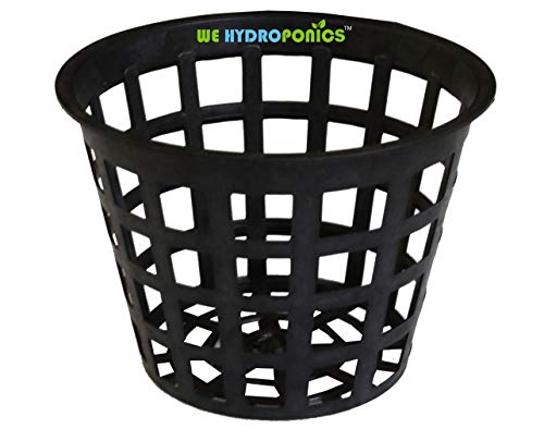 हम हाइड्रोपोनिक्स 5 इंच नेटपॉट - 10 का सेट, डच बकेट, क्रेटकी और प्लांट नर्सरी के लिए सबसे उपयुक्त