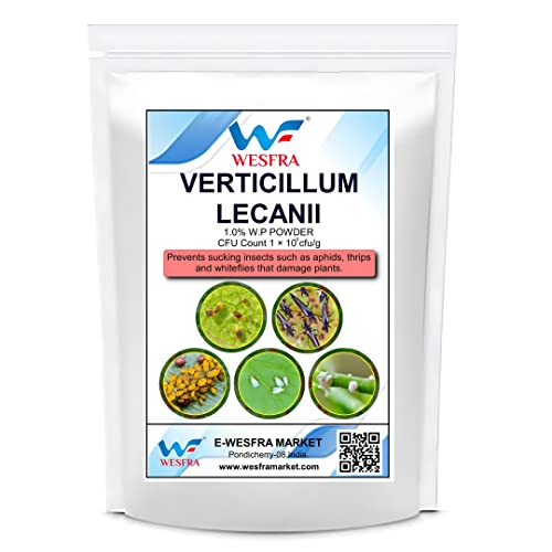 Verticillium Lecanii (1x10^8 CFU/G) पौधों के लिए - एफिड्स, थ्रिप्स और व्हाइटफ्लाइज़ जैसे चूसने वाले कीड़ों के खिलाफ 1kg.