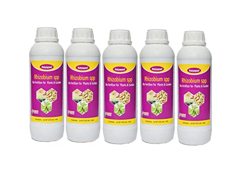 Katyayani Rhizobium Spp Bio Fertilizer | Nitrogen Fixing Bacteria for Plants | ( 5 X 10*8 Cfu / Ml . Min ) | For Home Garden, Terrace Garden , Nursery , Greenhouse & for Agricultural Purposes | 5L | 1000ml x 5 |