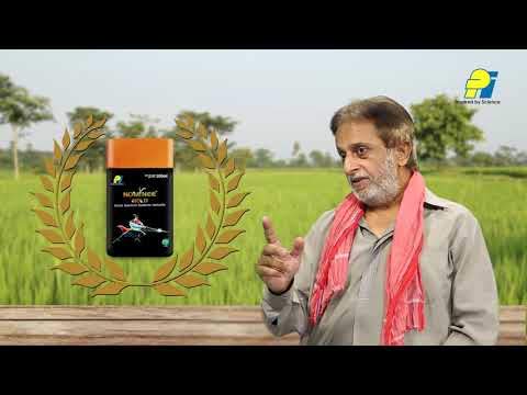 nominee gold 500ml price