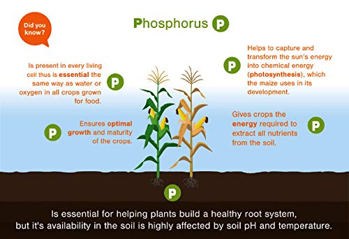 Nature Friend Phosphate Rich Organic Manure (PROM) Organic Fertlizer for plants - 7 Kg
